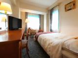 1 Bedroom Economy Single room