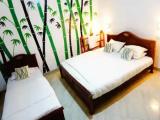 Standard Triple room with land view