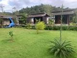 Standard Double room with garden view