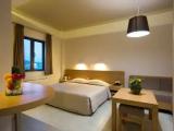 Standard Double room with balcony and with garden view