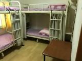 Bed in Dorm