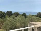 Standard Quadruple room with sea view