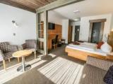 Deluxe Double room with mountain view