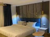 Standard Double room with balcony and with pool view