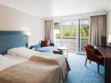 Superior room with mountain view