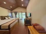 Standard Family room with balcony and with pool view