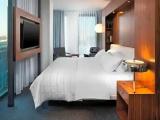 Deluxe Double Suite with city view