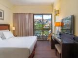 Standard room with mountain view