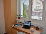 Standard Single room with garden view