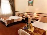 Standard Triple room with garden view