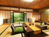 Standard room with river view