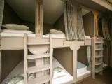 Bed in Dorm