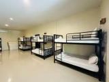Bed in Dorm