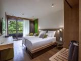 Standard Double room with balcony and with park view