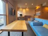 Premium Japanese Modern room