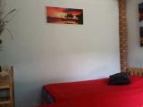 Bed in Dorm