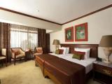 Superior room with mountain view