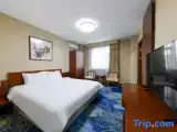 Business Suite