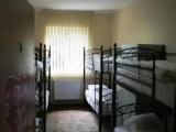 Bed in 6-Bed Dormitory Room