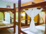 Bed in Dorm