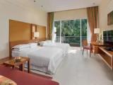 Guest Quadruple room with balcony and with garden view