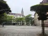 Run of House