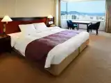 Standard (smoking/non-smoking room is subject to availability) Double room