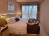 Standard Double room with city view