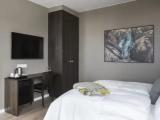 Junior Suite with balcony and with mountain view