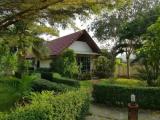 Bungalow with garden view