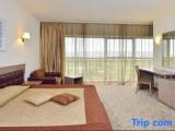 Standard Single room with park view