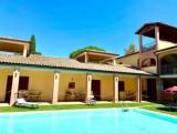 Standard Double room with pool view