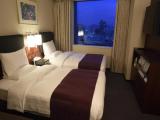 Standard (smoking/non-smoking room is subject to availability) Twin room