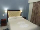 Standard Double room with garden view