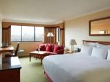 1 Bedroom Executive Double Suite with park view