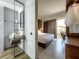 Deluxe Double room with park view
