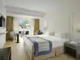 Superior Double room with balcony and with pool view