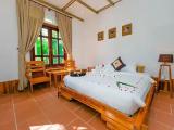 Standard Double room with pool view