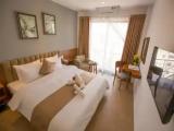 Superior Double room with city view
