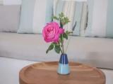 2 Bedrooms Apartment with garden view
