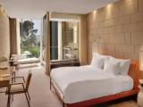 Deluxe Double room with garden view