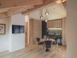 Double Penthouse Apartment