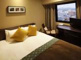 Standard Double room with city view