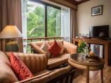 Deluxe Double room with garden view