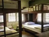 Bed in Dorm