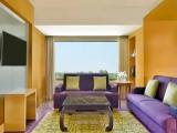 Single Junior Suite