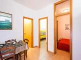Basement Apartment