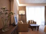 Junior Suite with balcony and with mountain view