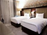 Guest Twin room