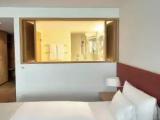 Deluxe Double room with balcony and with garden view